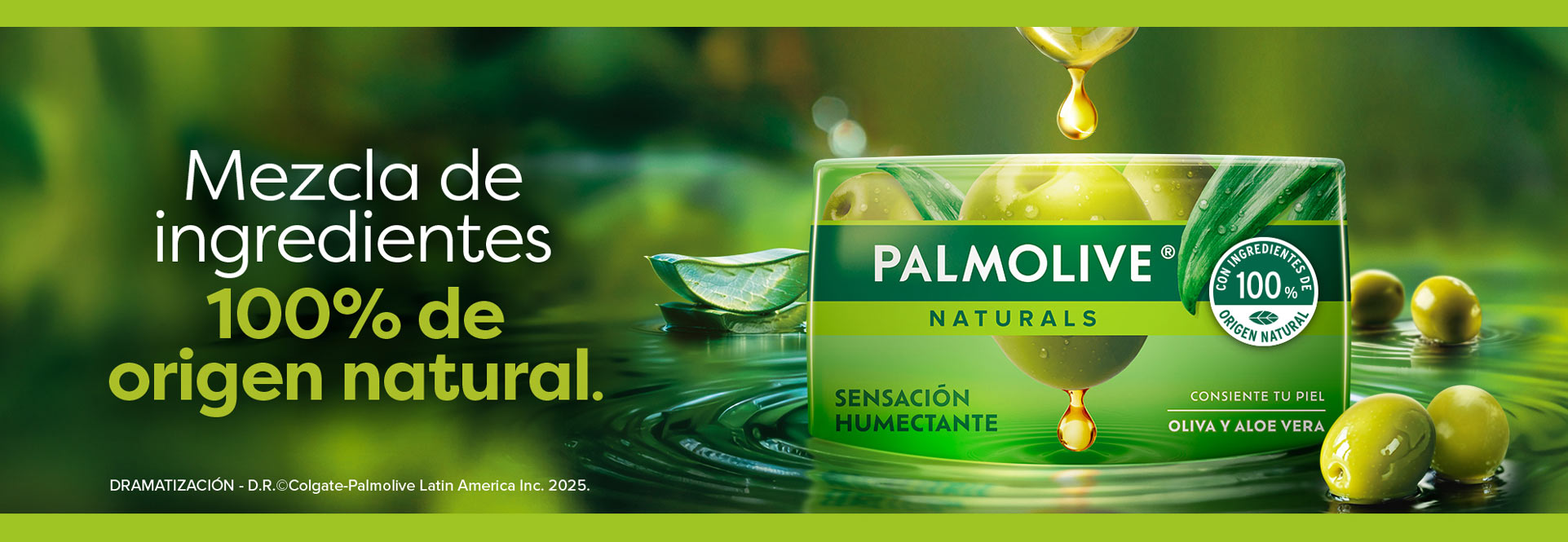 Presentaciones de los diferentes jabones en barra