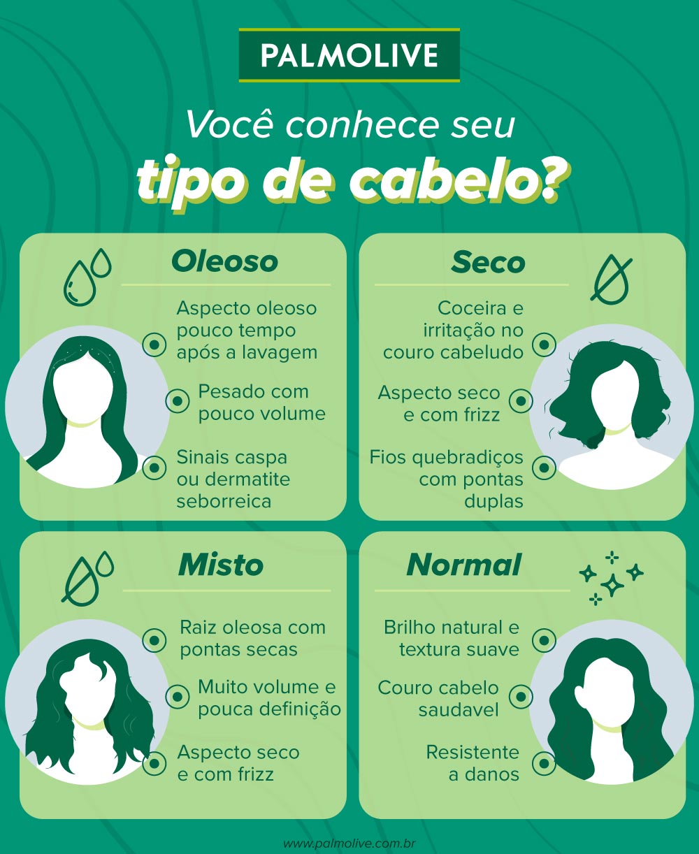Infográfico sobre características de cada tipo de cabelo.