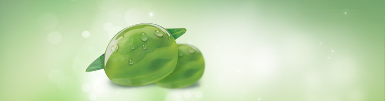 oliva main banner oliva main banner