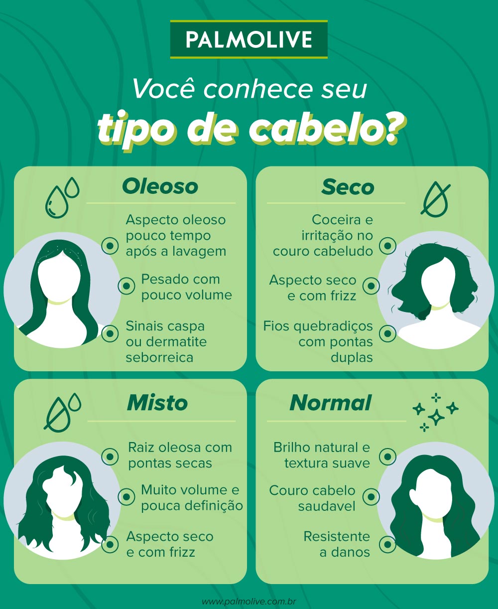 infográfico sobre tipos de cabelo