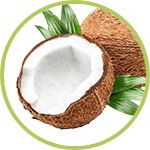 Coco Coco