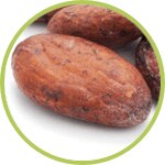 cacau cacau