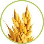 Nutri-Liss Nutri-Liss